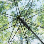 1193 Parasol długi FARE Nature 1