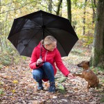 7395 Parasol AC golf FAREDoggyBrella 8