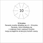 10 brytow FARE