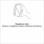 wyjatkowo mały FARE